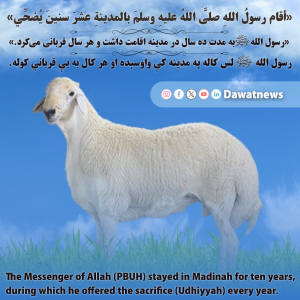 دوام قربانی پیامبر ﷺ در مدینه